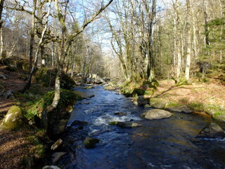 Rigole du Diable- Creuse