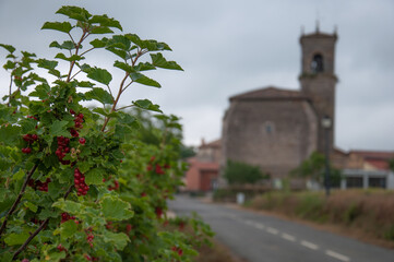 Fototapeta na wymiar Entrance to a village with the church tower in the background out of focus.