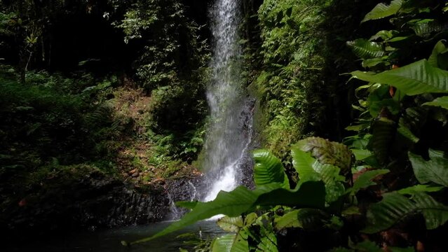 Glimpse of a stunning waterfall discovered while hiking deep in the rainforests wilderness of Pohnpei, Federated States of Micronesia