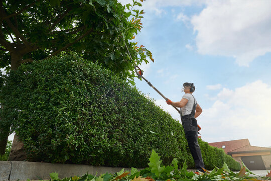 Low angle view of male gardener in safety mask and gloves using electric trimmer for removing dry leaves and branches on tree. Caucasian man taking care of plants to garden.