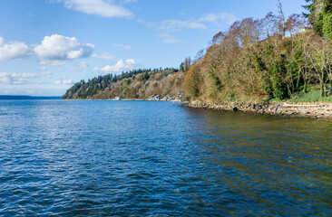 Serene Coastal Shoreline 2
