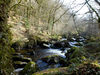 Rigole du Diable- Creuse