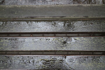 wet planks of an old park bench