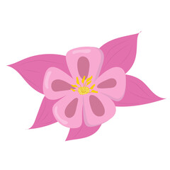 Light purple single flower Avilegia. Field spring flowers. Vector.