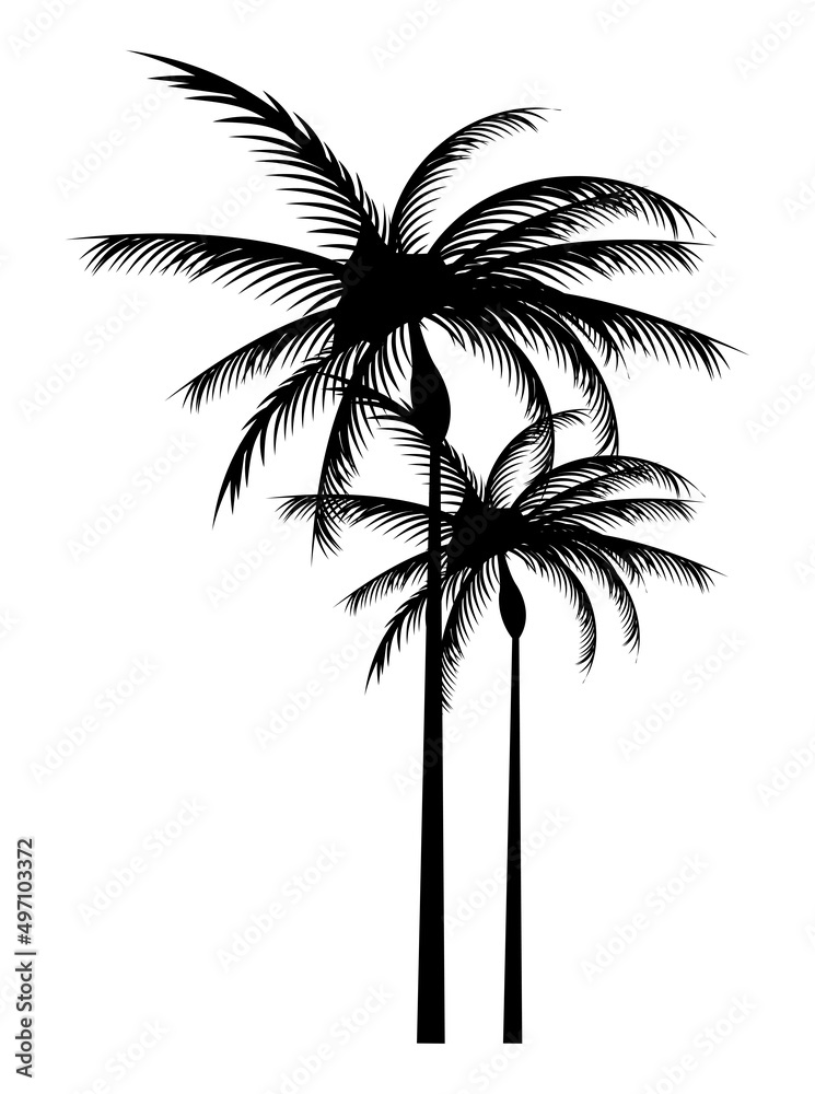 Sticker trees palms silhouettes