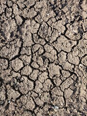 Dry cracked earth. Land background with copy space. Concept of global warming
