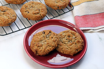 Oatmeal Chocolate Chip Cookies fresh from the oven