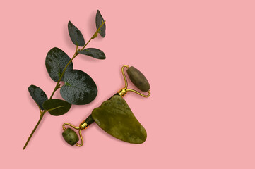 Green jade roller and eucalyptus branch on a pink background.
