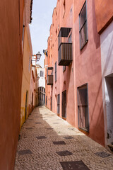 Fototapeta na wymiar narrow pedestrian alley leading through tall colorful pink houses