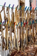 many strips of salted codfish or bacalao drying in front of a small house in the old town of Peniche