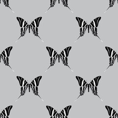 butterfly polka dot pattern
seamless black and white