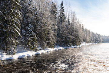 Fabulous winter forest. Stormy river sparkles in the rays of the winter sun