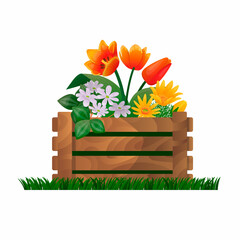 Vector isolated illustration with a wooden garden, rustic box as flowerbeds and flowers growing inside. Concept of gardening, design of homesteads, etc. You can use element in web design, banners, etc - obrazy, fototapety, plakaty