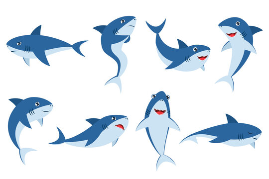 Cute sharks in different poses cartoon illustration set. Baby underwater animal laughing, sleeping, swimming, smiling, being sad, scared and angry on white background. Marine animal, fish concept