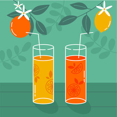 Orange and lemon juice. Two glasses with straws on a green background. Branches with fruits of lemon and orange. Isolated vector image