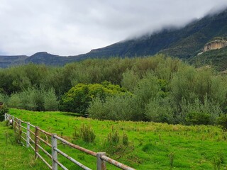 Fototapeta na wymiar landscape with a fence