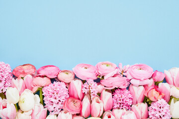 Border of pink ranunculus, tulips and hyacinths on a blue background. Greeeting card