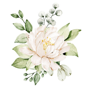 White flower peony watercolor, floral clip art. Bouquet perfectly for printing design on invitations, cards, wall art and other. Isolated on white background. Hand painting.