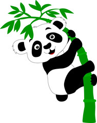 Panda. Panda on a bamboo. Illustrated panda.