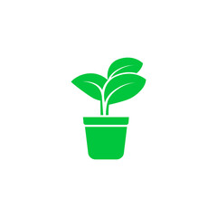 plant icon vector sprout seed sapling grow tree