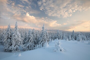 Winter scenery of the Sudetes Mountains on the Polish-Czech border during sunrise