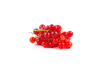 Red currant isolated