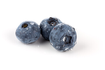blueberries isolated close up