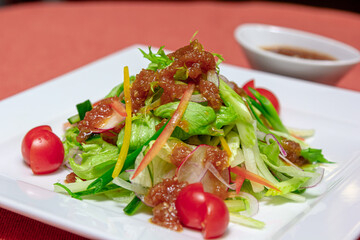 Salad of lettuce leaves, tomatoes, radishes, cucumbers with Asian sauce