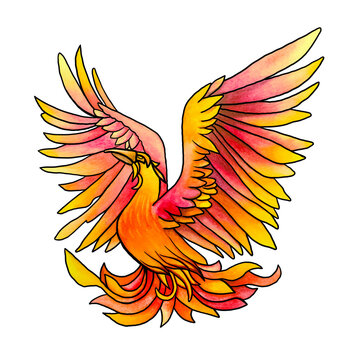 The fabulous Phoenix bird. The character of the legend. Reborn from the ashes. The immortal bird. The illustration is hand-drawn in watercolour. Isolated on a white background