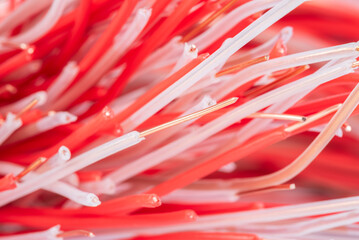 Installation electrical cable wire close-up