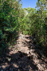 Hiking trail „Trace Rouge“, Terre-de-Bas, Iles des Saintes, Les Saintes, Guadeloupe, Lesser Antilles, Caribbean.
