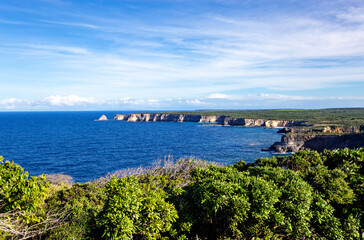 Pointe du Piton, north coast, Grande-Terre, Guadeloupe, Lesser Antilles, Caribbean.