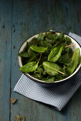 Fresh sorrel and nettle leaves