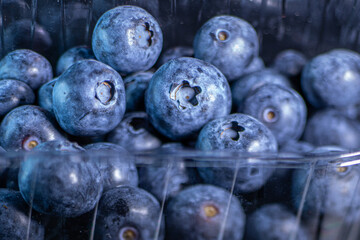 Big blueberries close up. Large ripe berries. Soft selective focus