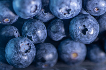 Big blueberries close up. Large ripe berries. Soft selective focus