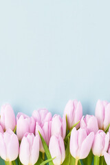 Pink tulips border on a light blue background. Top view, copy space, vertical. Soft focus