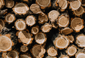 Background, texture of brown wooden logs, close-up firewood from acacia, spruce stacked in a row.