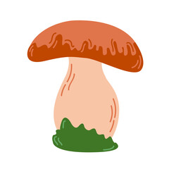 Edible mushroom, vector illustration. Forest wild mushroom. Organic porcini.