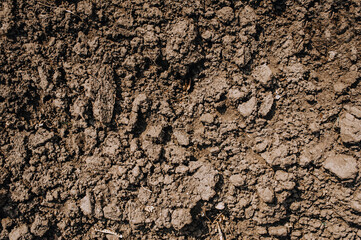 Background of dug up earth, soil. Chernozem, top view.