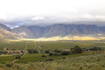 A panoramic view over a valley with vineyards towards majestic mountains covered in soft clouds.
