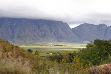 A panoramic view over a valley with vineyards towards majestic mountains covered in soft clouds.
