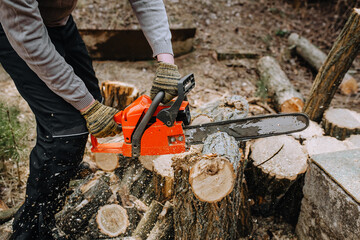 A lumberjack, a strong man, a professional saws logs holding a red expensive chainsaw in his hand,...