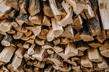 A lot of logs chopped with an ax, dry acacia firewood, fir trees for heating are stacked in a row close-up.