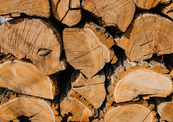 Naklejka premium Background, texture of many round brown wooden logs, close-up firewood from acacia, spruce stacked in a row.