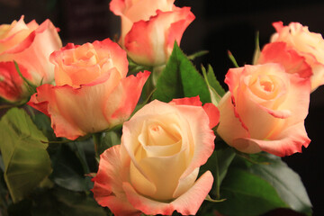 bouquet of beautiful pink-yellow roses