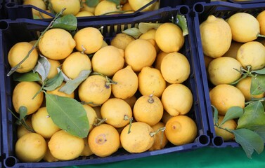 crates of fresh citrus lemons for sale in the stall at the vegetable market