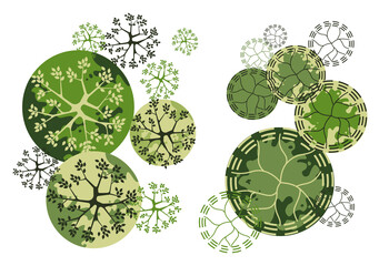 Set of trees. Entourage design. Various trees, bushes, and shrubs, top view for the landscape design plan.