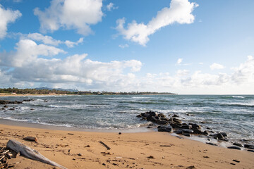 beach and sea with rocks and drifrwood