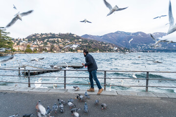 Italy, Como, Man feeding swans and seagulls on lake Como