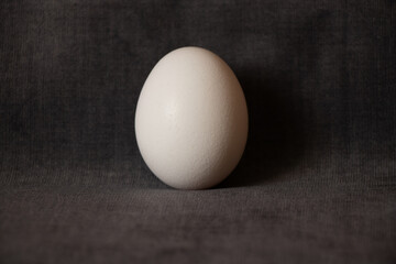 One white chicken egg on a gray background close up